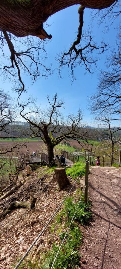 Froschkoenig Mit Teichblick Trendelburg Exterior foto