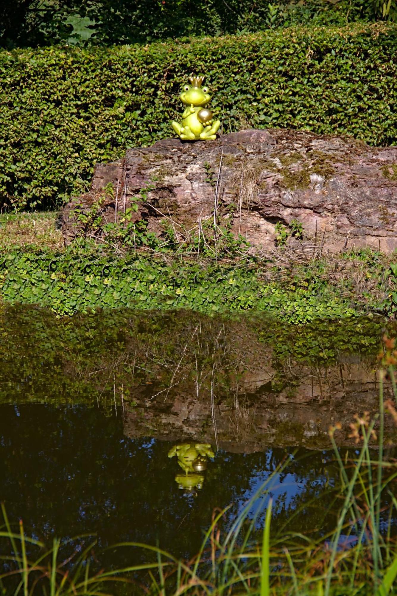 Froschkoenig Mit Teichblick Trendelburg Exterior foto