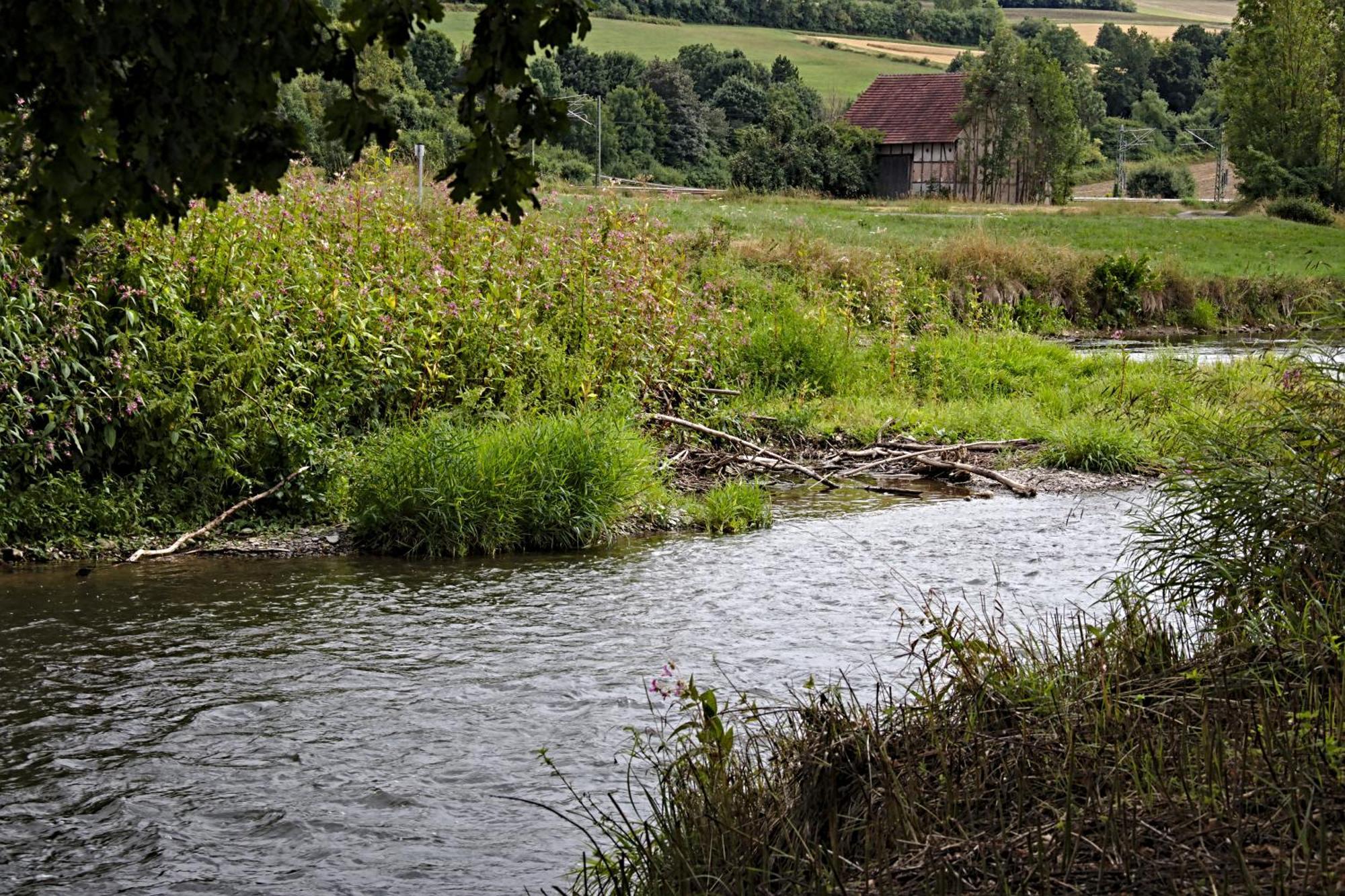 Froschkoenig Mit Teichblick Trendelburg Exterior foto